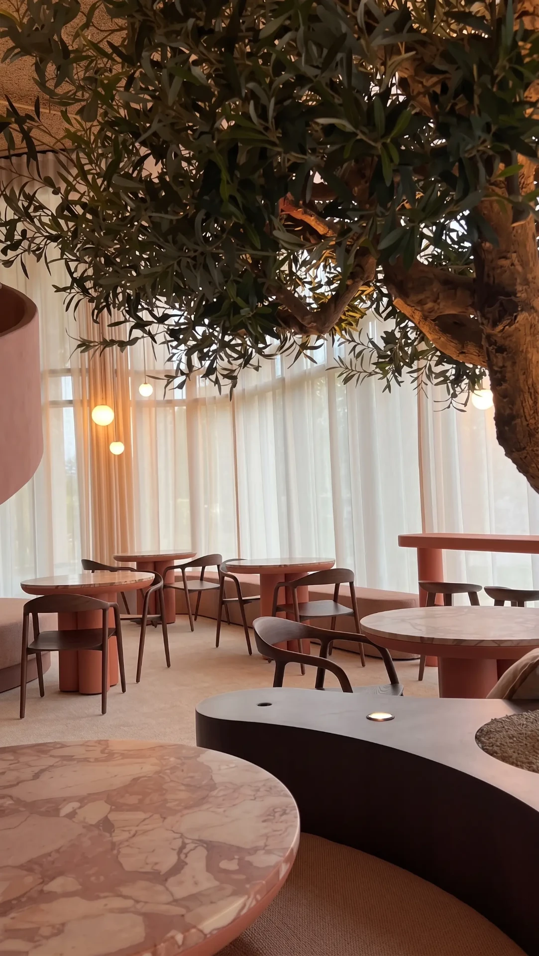 the lounge olive tree and marble tables bonsai brussels